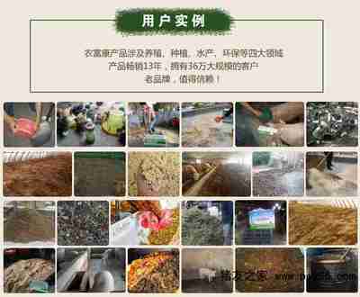 生物飼料研發助力豬腸炎拉稀的科學預防