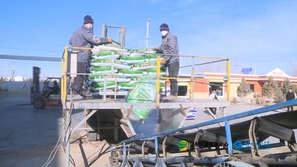 張掖市人民政府推動生物飼料研發，助力農業綠色發展