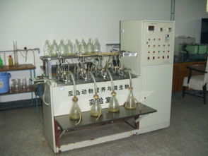 反芻動物飼料安全評價實驗室與生物飼料研發(fā)的協(xié)同創(chuàng)新